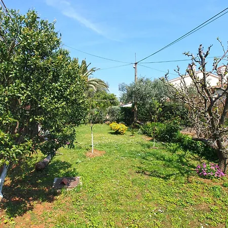 Apartment Emina 2317